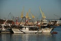 Ancona Port, Italy Royalty Free Stock Photo